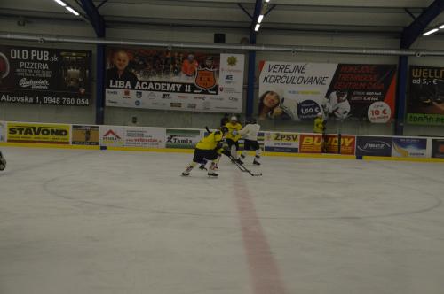 Regionálny hokejový turnaj 2017