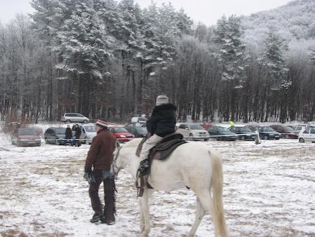 Srnčia stopa 2011